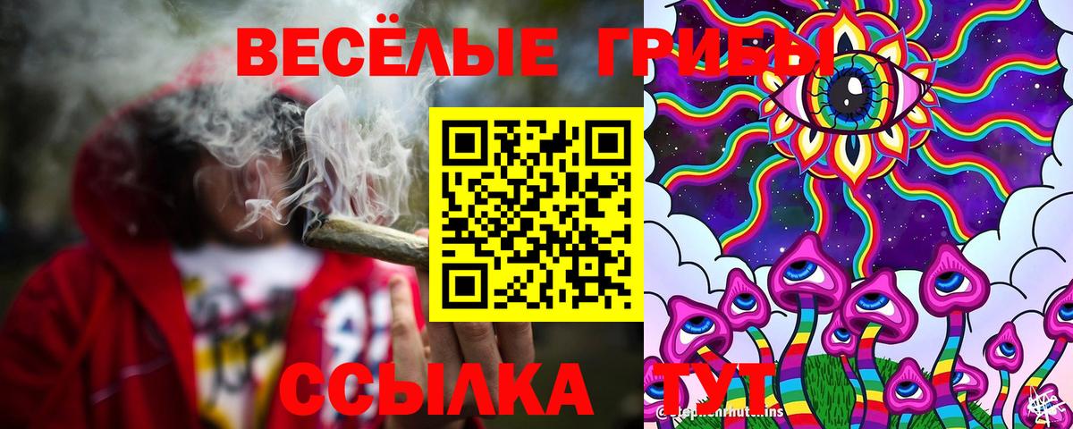 Галлюциногенные грибы GOLDEN TEACHER Екатеринбург