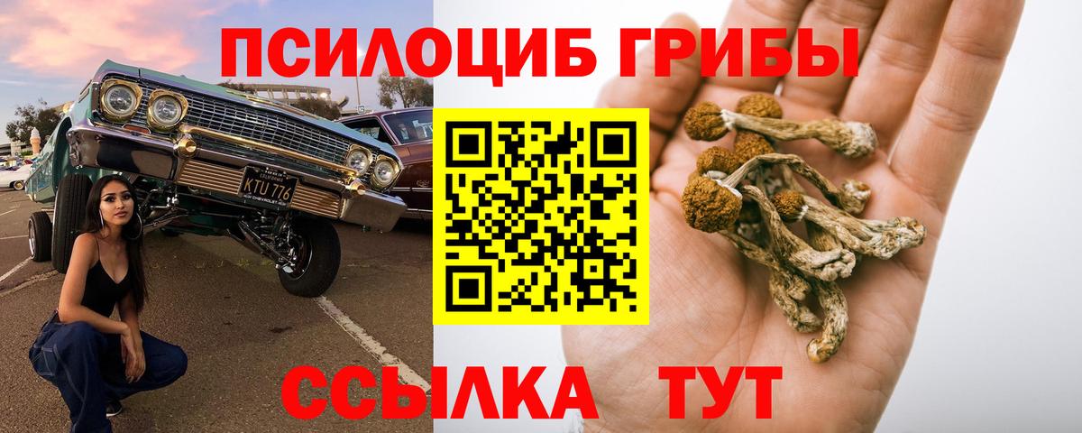 Галлюциногенные грибы ЛСД  Псилоцибиновые грибы Psilocybe  где продают наркотики  Вход с VPN  Екатеринбург 
